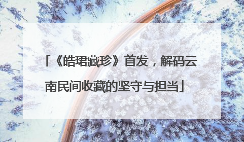《皓珺藏珍》首发，解码云南民间收藏的坚守与担当
