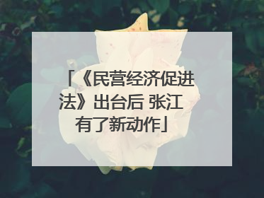 《民营经济促进法》出台后 张江有了新动作