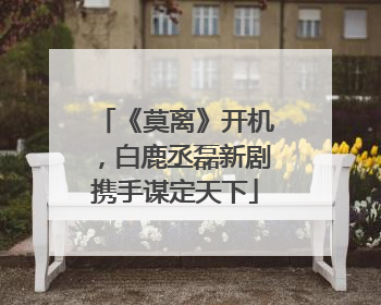 《莫离》开机，白鹿丞磊新剧携手谋定天下