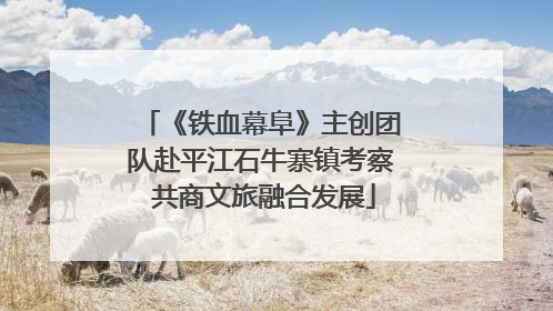《铁血幕阜》主创团队赴平江石牛寨镇考察 共商文旅融合发展