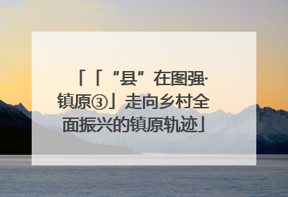 「“县”在图强·镇原③」走向乡村全面振兴的镇原轨迹