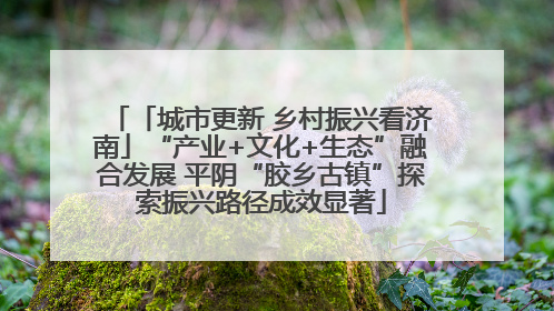 「城市更新 乡村振兴看济南」“产业+文化+生态”融合发展 平阴“胶乡古镇”探索振兴路径成效显著