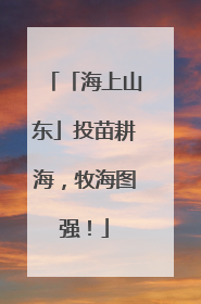 「海上山东」投苗耕海，牧海图强！