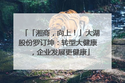 「湘商，向上！」大湖股份罗订坤：转型大健康，企业发展更健康