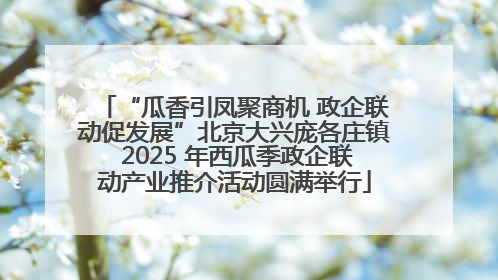 “瓜香引凤聚商机 政企联动促发展”北京大兴庞各庄镇 2025 年西瓜季政企联动产业推介活动圆满举行