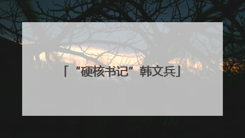 “硬核书记”韩文兵