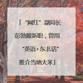 “网红”副局长彭勃履新职，曾用“英语+东北话”推介当地大米