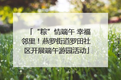 “粽”情端午 幸福邻里！燕罗街道罗田社区开展端午游园活动