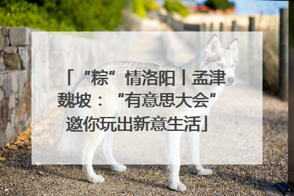 “粽”情洛阳丨孟津魏坡：“有意思大会”邀你玩出新意生活