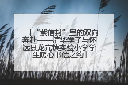 “紫信封”里的双向奔赴——清华学子与怀远县龙亢镇实验小学学生暖心书信之约