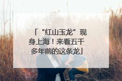 “红山玉龙”现身上海！来看五千多年前的这条龙