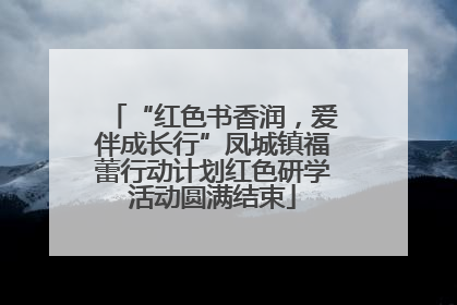 “红色书香润，爱伴成长行”凤城镇福蕾行动计划红色研学活动圆满结束