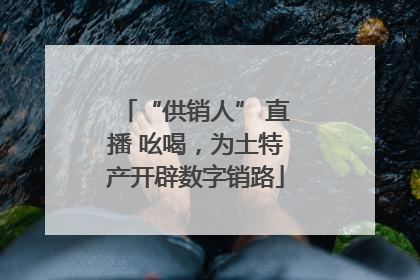 “供销人” 直播 吆喝，为土特产开辟数字销路