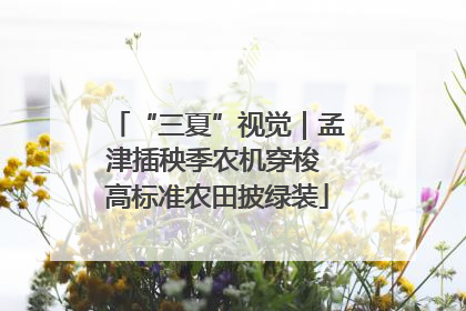 “三夏”视觉｜孟津插秧季农机穿梭 高标准农田披绿装