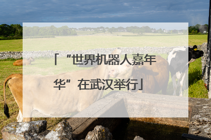 “世界机器人嘉年华”在武汉举行