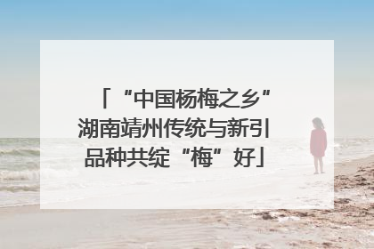 “中国杨梅之乡”湖南靖州传统与新引品种共绽“梅”好