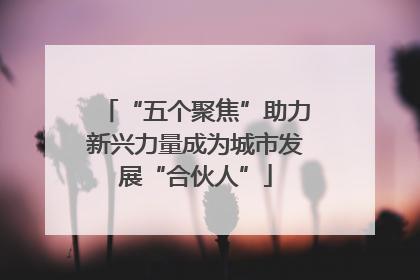“五个聚焦”助力新兴力量成为城市发展“合伙人”