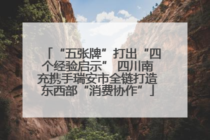 “五张牌”打出“四个经验启示” 四川南充携手瑞安市全链打造东西部“消费协作”