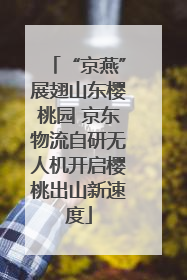 “京燕”展翅山东樱桃园 京东物流自研无人机开启樱桃出山新速度