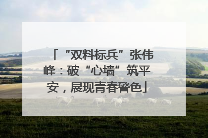 “双料标兵”张伟峰：破“心墙”筑平安，展现青春警色