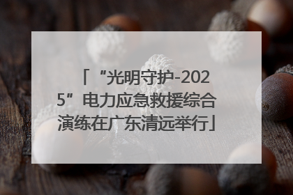“光明守护-2025”电力应急救援综合演练在广东清远举行