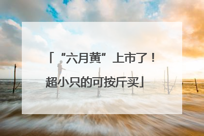 “六月黄”上市了！超小只的可按斤买