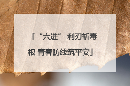 “六进” 利刃斩毒根 青春防线筑平安