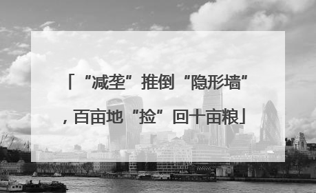 “减垄”推倒“隐形墙”，百亩地“捡”回十亩粮