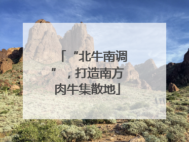 “北牛南调”，打造南方肉牛集散地