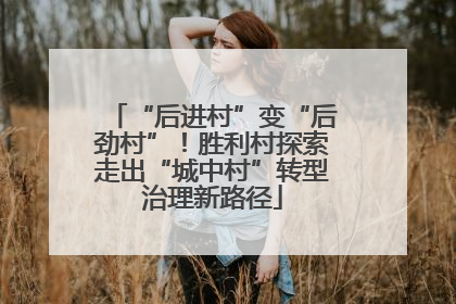 “后进村”变“后劲村”！胜利村探索走出“城中村”转型治理新路径