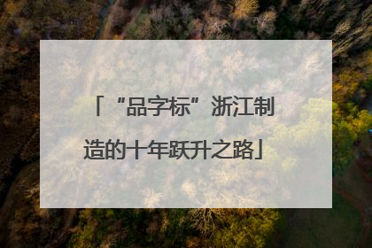 “品字标”浙江制造的十年跃升之路