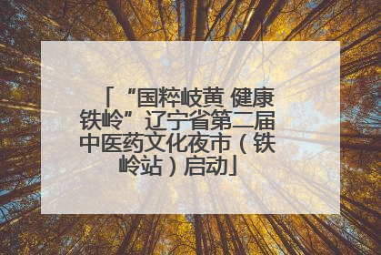 “国粹岐黄 健康铁岭”辽宁省第二届中医药文化夜市（铁岭站）启动