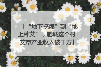 “地下挖煤”到“地上种艾”，肥城这个村艾草产业收入破千万