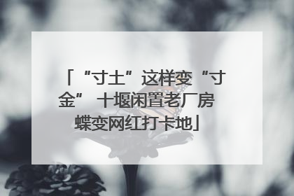 “寸土”这样变“寸金” 十堰闲置老厂房蝶变网红打卡地