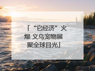 “它经济”火爆 义乌宠物展聚全球目光