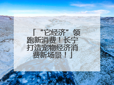 “它经济”领跑新消费！长宁打造宠物经济消费新场景！