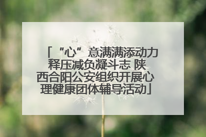 “心”意满满添动力 释压减负凝斗志 陕西合阳公安组织开展心理健康团体辅导活动