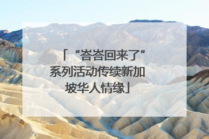 “峇峇回来了”系列活动传续新加坡华人情缘