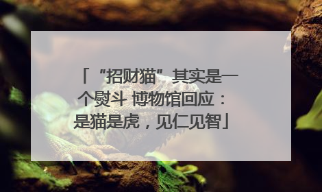 “招财猫”其实是一个熨斗 博物馆回应：是猫是虎，见仁见智