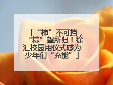 “柿”不可挡，“粽”望所归！徐汇校园用仪式感为少年们“充能”