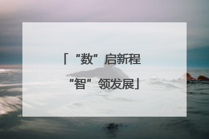 “数”启新程 “智”领发展