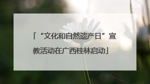 “文化和自然遗产日”宣教活动在广西桂林启动