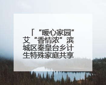 “暖心家园”艾“香情浓”滨城区秦皇台乡计生特殊家庭共享端午