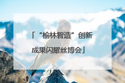 “榆林智造”创新成果闪耀丝博会