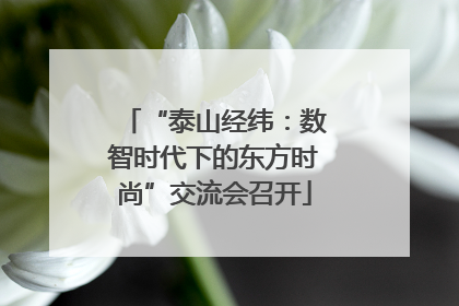 “泰山经纬：数智时代下的东方时尚”交流会召开