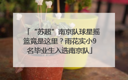 “苏超”南京队球星摇篮竟是这里？雨花实小9名毕业生入选南京队