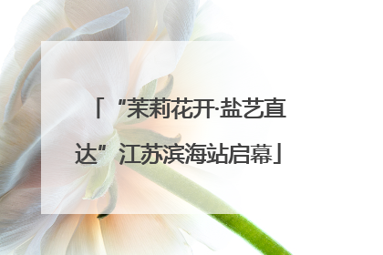 “茉莉花开·盐艺直达”江苏滨海站启幕