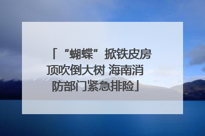 “蝴蝶”掀铁皮房顶吹倒大树 海南消防部门紧急排险