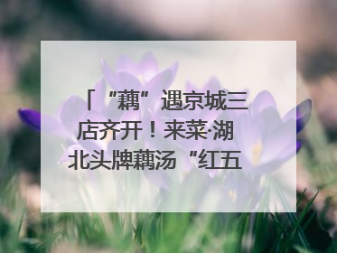 “藕”遇京城三店齐开！来菜·湖北头牌藕汤“红五月”再掀荆楚美食文化风暴