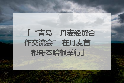 “青岛—丹麦经贸合作交流会” 在丹麦首都哥本哈根举行